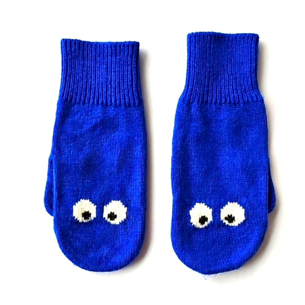 J Crew Kids Blue Mittens
